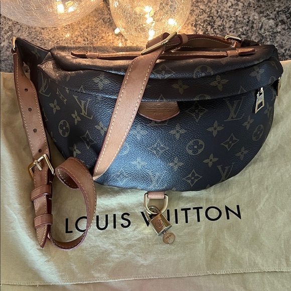 Louis Vuitton Bum Bag - Picture 4 of 14